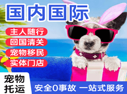 三沙永兴航空货运国际宠物托运 【国